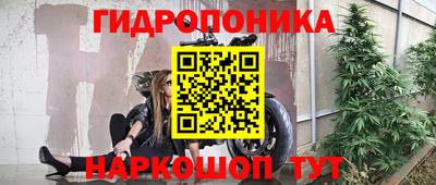 прущие крисы Свободный