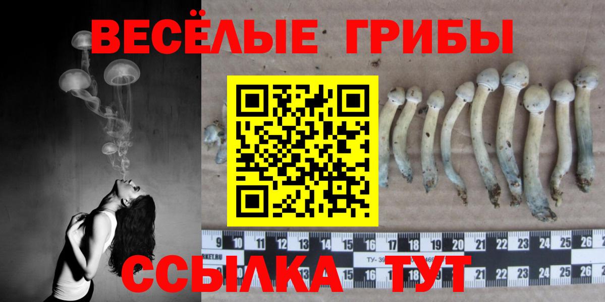 Галлюциногенные грибы мухоморы Павловский Посад