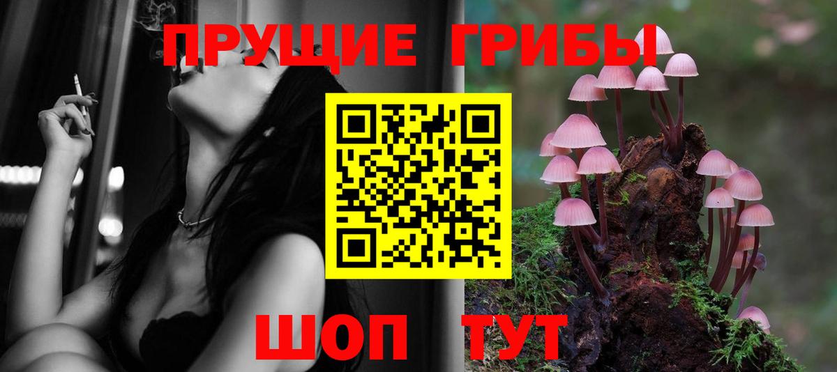 Псилоцибиновые грибы Cubensis  Вход с VPN  Павловский Посад 